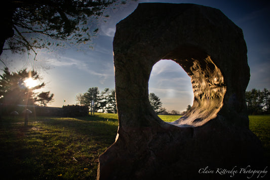 A Look into Nature - Digital