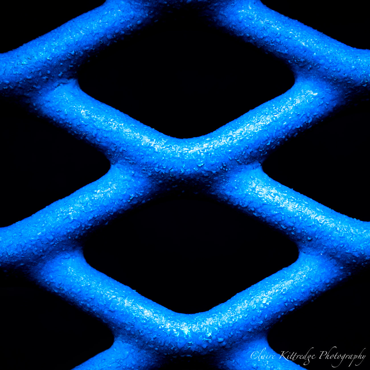Blue Fences - Digital