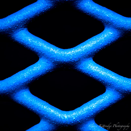 Blue Fences - Digital