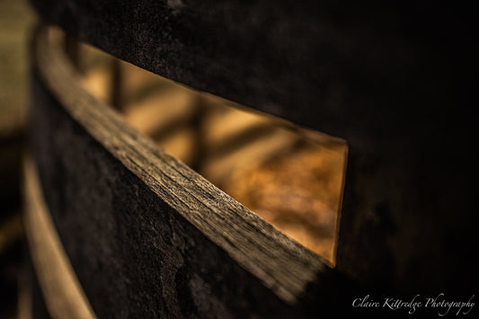 A Boat Full of Leaves - Digital