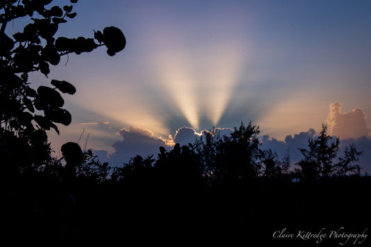 Morning Glow - Digital