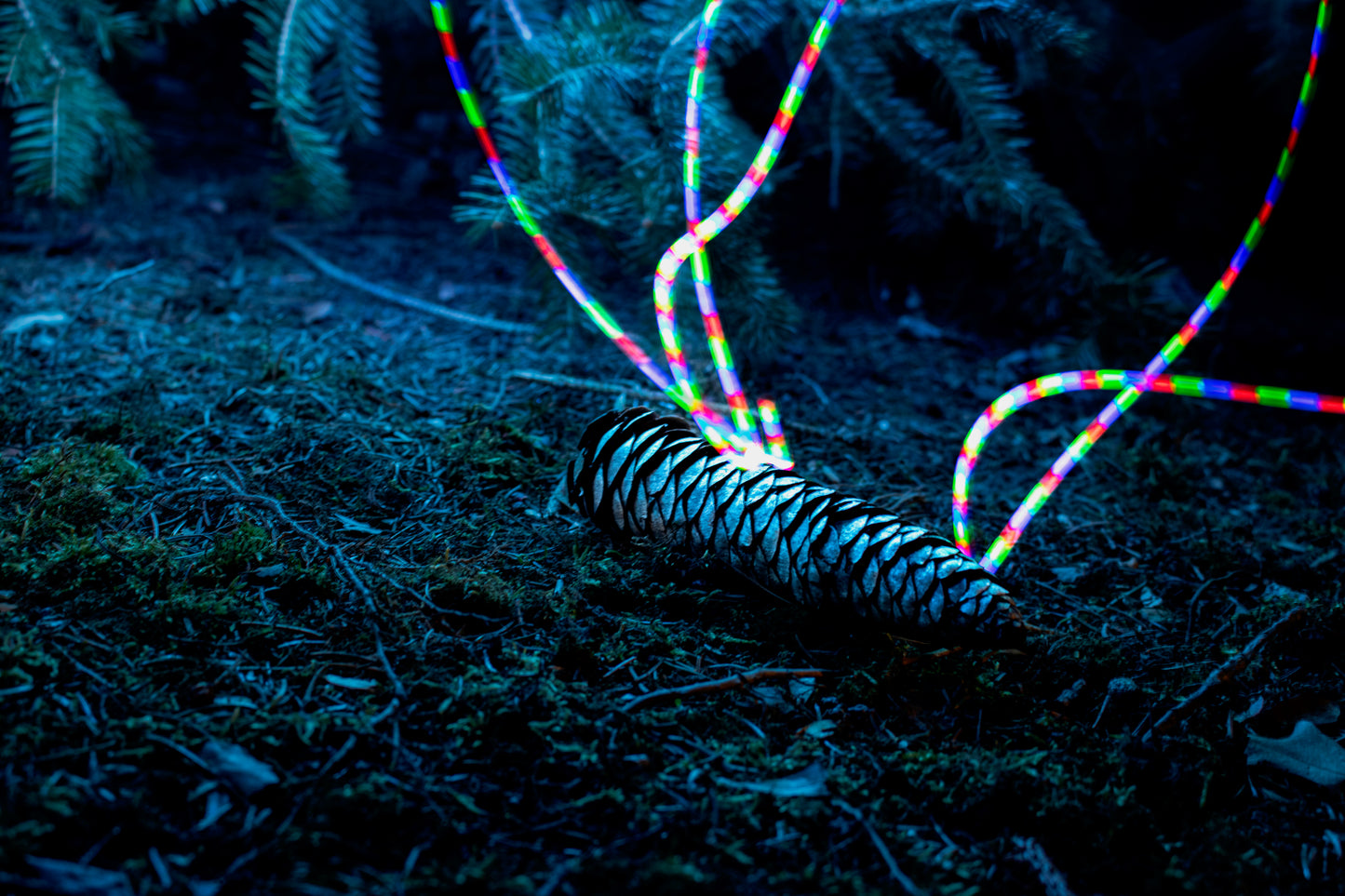 Lightshow Untitled III - Digital